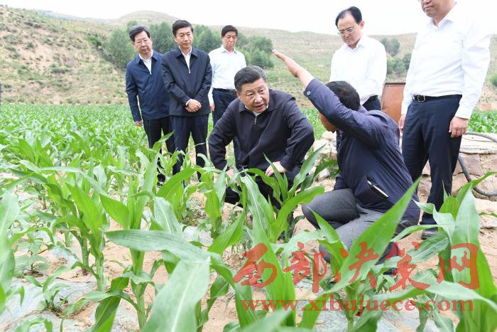 1498122701448864.jpg 4.jpg