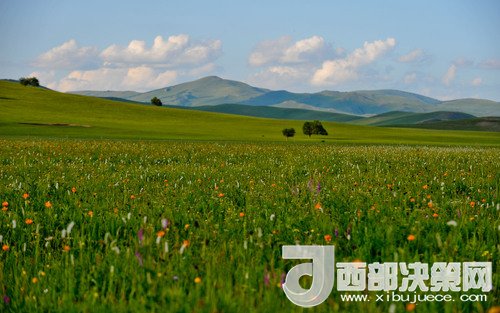 錫林郭勒草原。吳勇攝