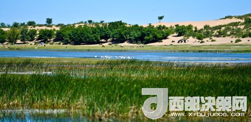 阿魯科爾沁保護(hù)區(qū)濕地沙丘。吳勇攝