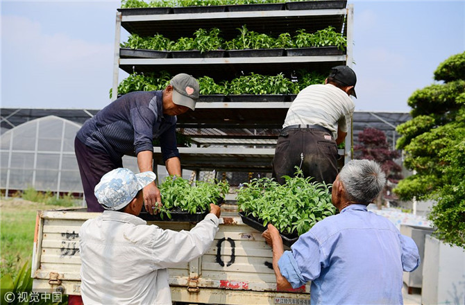 數(shù)字經(jīng)濟(jì)已經(jīng)成為我國經(jīng)濟(jì)社會(huì)更好發(fā)展的重要推動(dòng)力，也為我國鄉(xiāng)村發(fā)展提供了新的歷史機(jī)遇。（圖片來源：視覺中國）