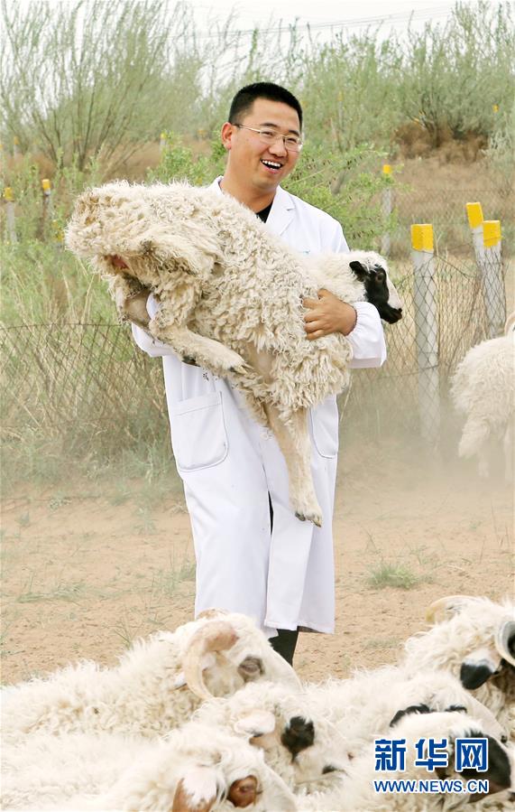 （壯麗70年·奮斗新時代——共和國發(fā)展成就巡禮·圖文互動）（3）生態(tài)美、百姓富——品讀嶄新“寧夏畫卷”