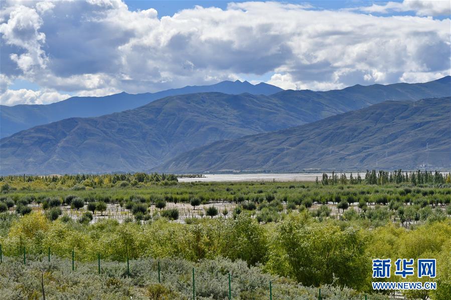 （圖文互動(dòng)）（4）“今天的生活，就像夢里夢到那樣甜”——寫在西藏百萬農(nóng)奴解放61周年之際