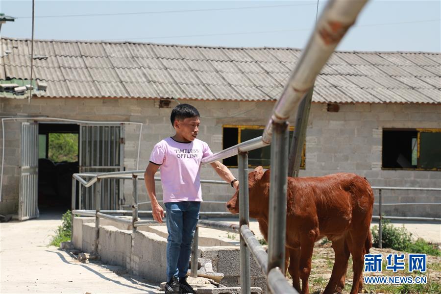 (新華全媒頭條·圖文互動(dòng))(8)刺梨花開滿山紅——記在貴州脫貧攻堅(jiān)一線奮斗的殘疾人