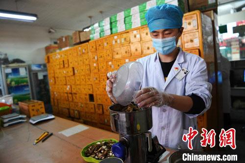 疫情發(fā)生以來，甘肅確保所有病例盡早、及時、全程使用中醫(yī)中藥，努力做到“一患一方案”。(資料圖) 楊艷敏 攝