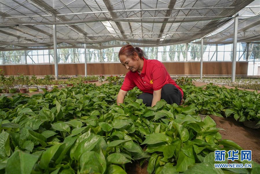 （新華全媒頭條·圖文互動）（11）旗引天山南北　譜寫發(fā)展新篇——以習近平同志為核心的黨中央關(guān)心新疆工作紀實