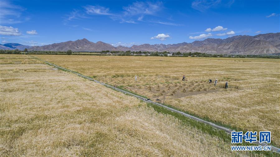 （新華全媒頭條·走向我們的小康生活·圖文互動(dòng)）（11）扎西德勒，我們的新家園——西藏易地扶貧搬遷搬出幸福美好新生活