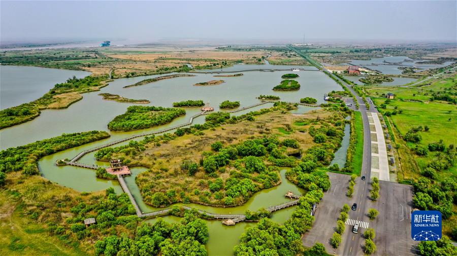 （新華全媒頭條·圖文互動(dòng)）（3）“讓我們一起向未來”——聆聽習(xí)近平主席2022年新年賀詞