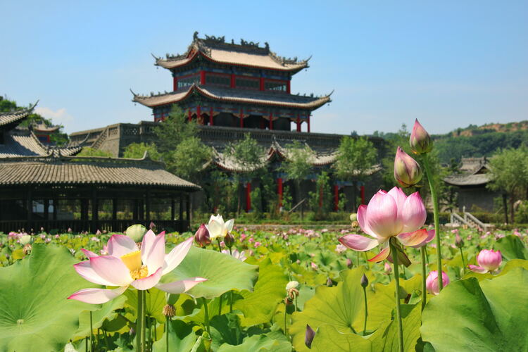 【云游渭南】心中若有桃花源，此處便是水云間！待疫情散盡，一起來渭南桃花源賞美景、觀民俗、享美食_fororder_2