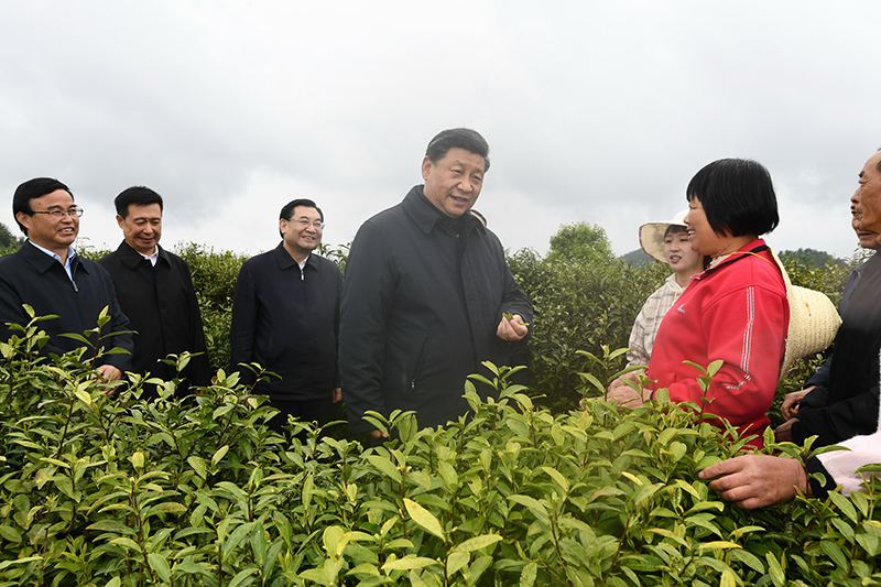 2020年4月21日，習(xí)近平總書記在陜西省安康市平利縣老縣鎮(zhèn)蔣家坪村女媧鳳凰茶業(yè)現(xiàn)代示范園區(qū)，同茶農(nóng)們親切交談。